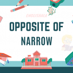 Opposite Of Narrow